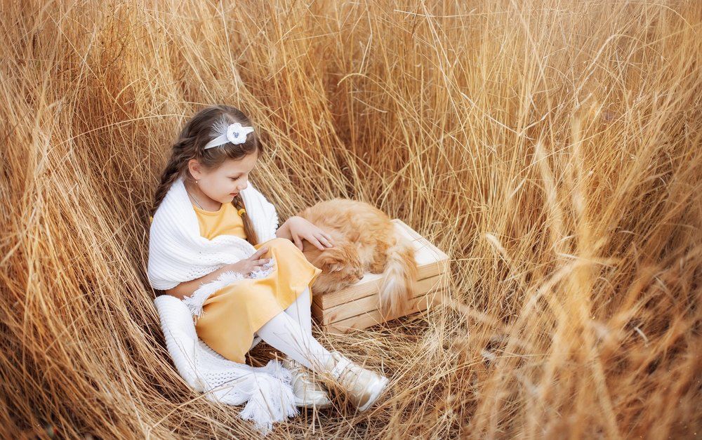 Катюшка, осень 2018