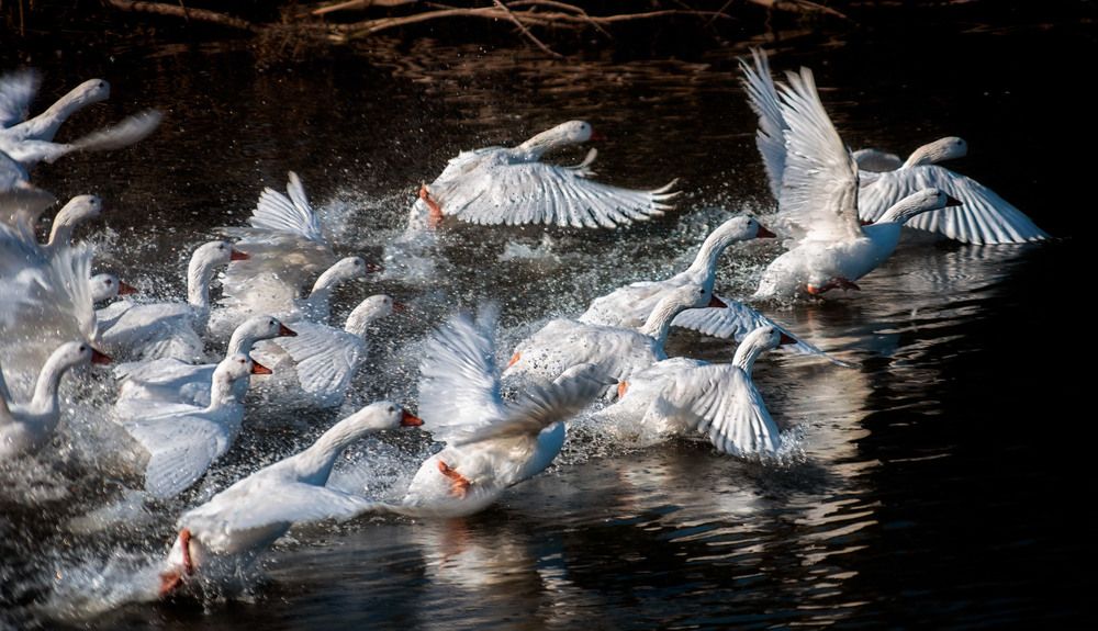 Фотография автора Юрий Юрьев