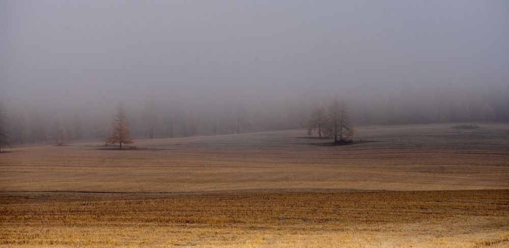 Алтай. утренний туман