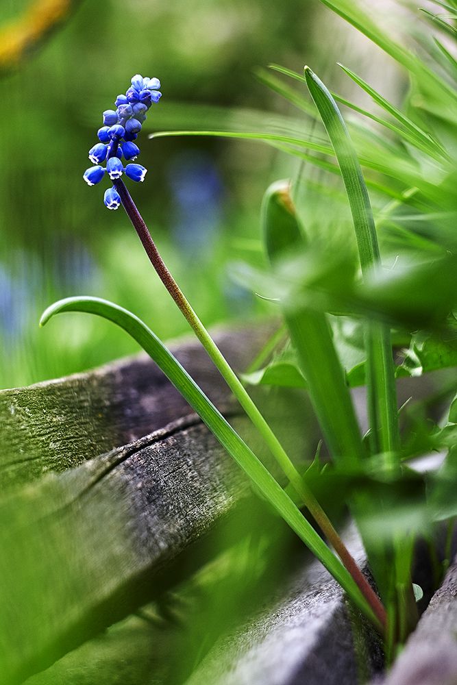 Фотография автора Игорь Иванов
