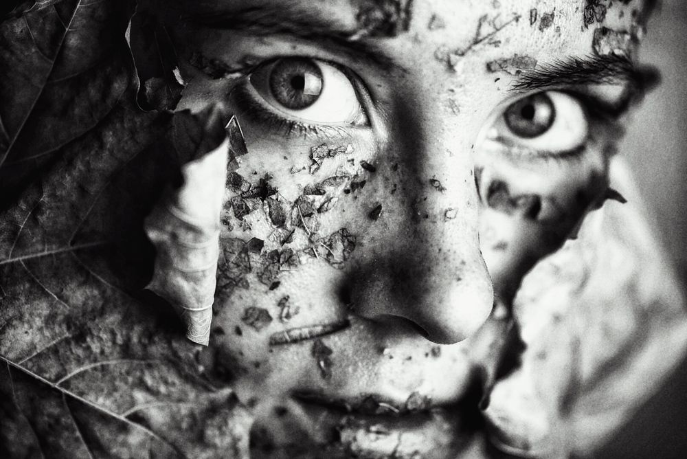 Чёрные листья