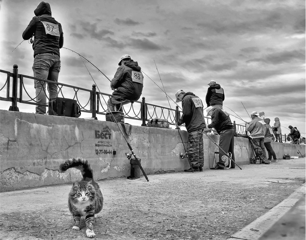 Главный эксперт.