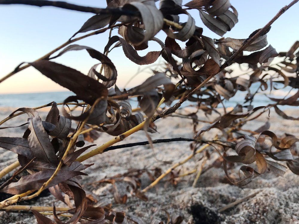 Photograph by Galina Baranovskaja