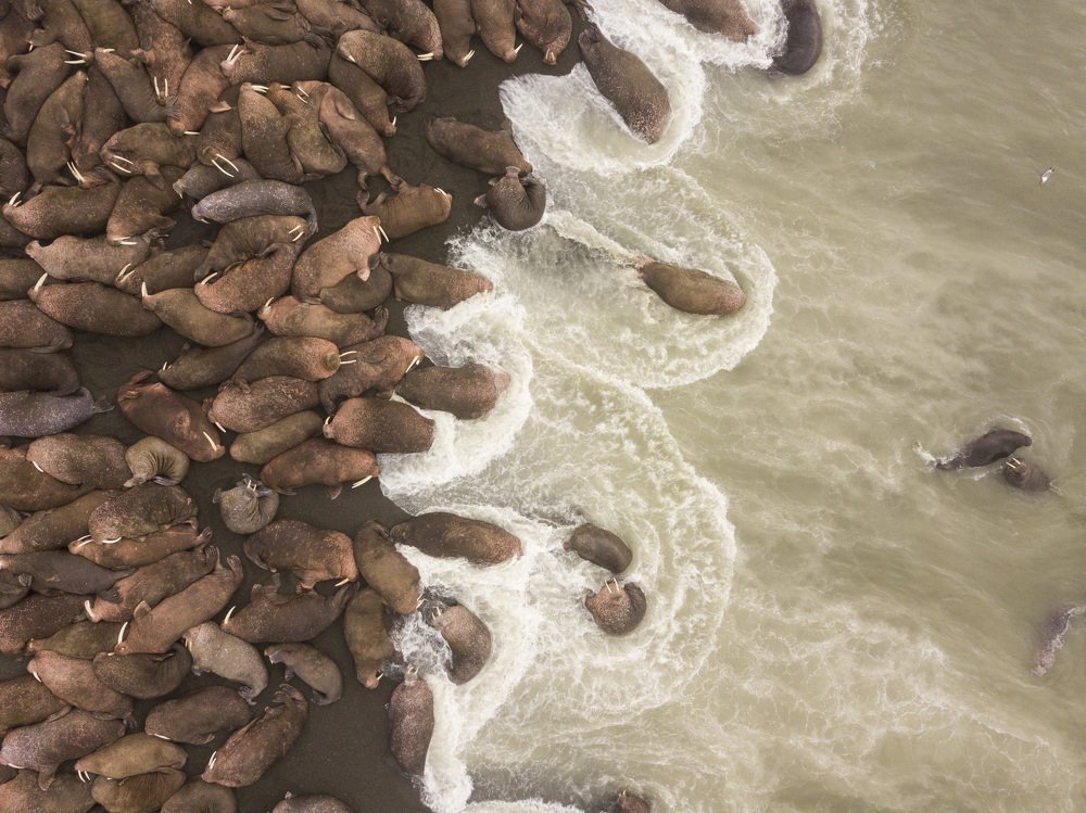 Photograph by Максимов Андрей