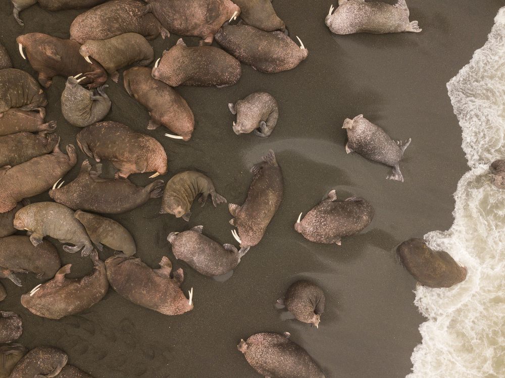 Безмятежность