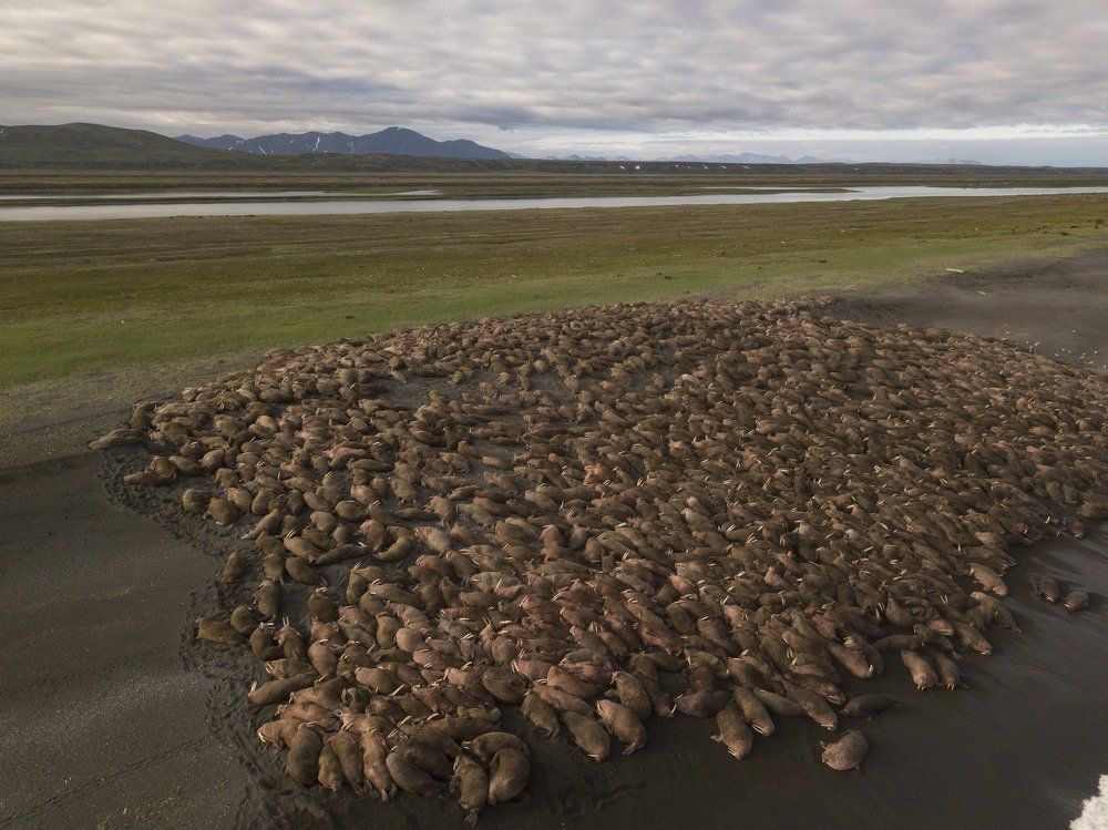 На фоне гор