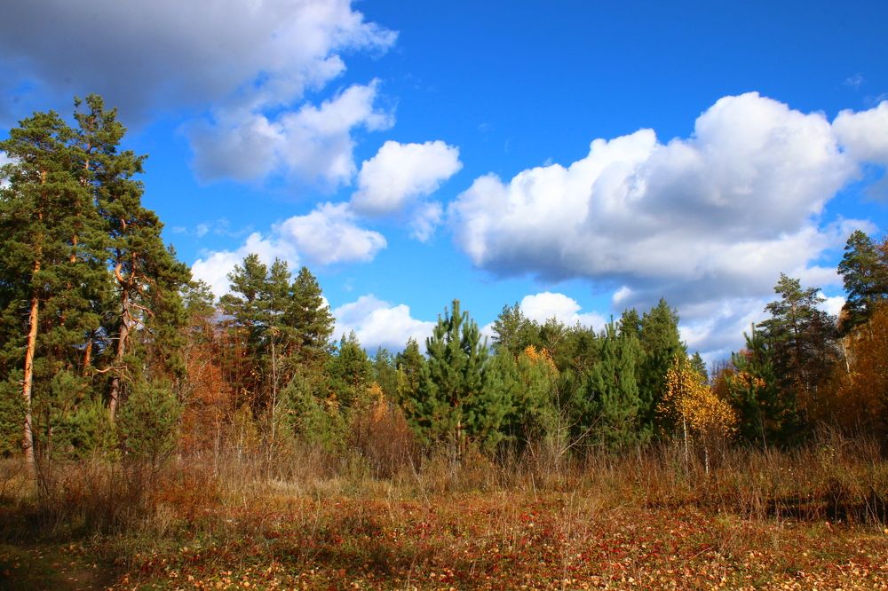 Photograph by Бирюлина Мария
