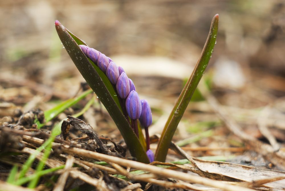 Photograph by Игорь Мальцев