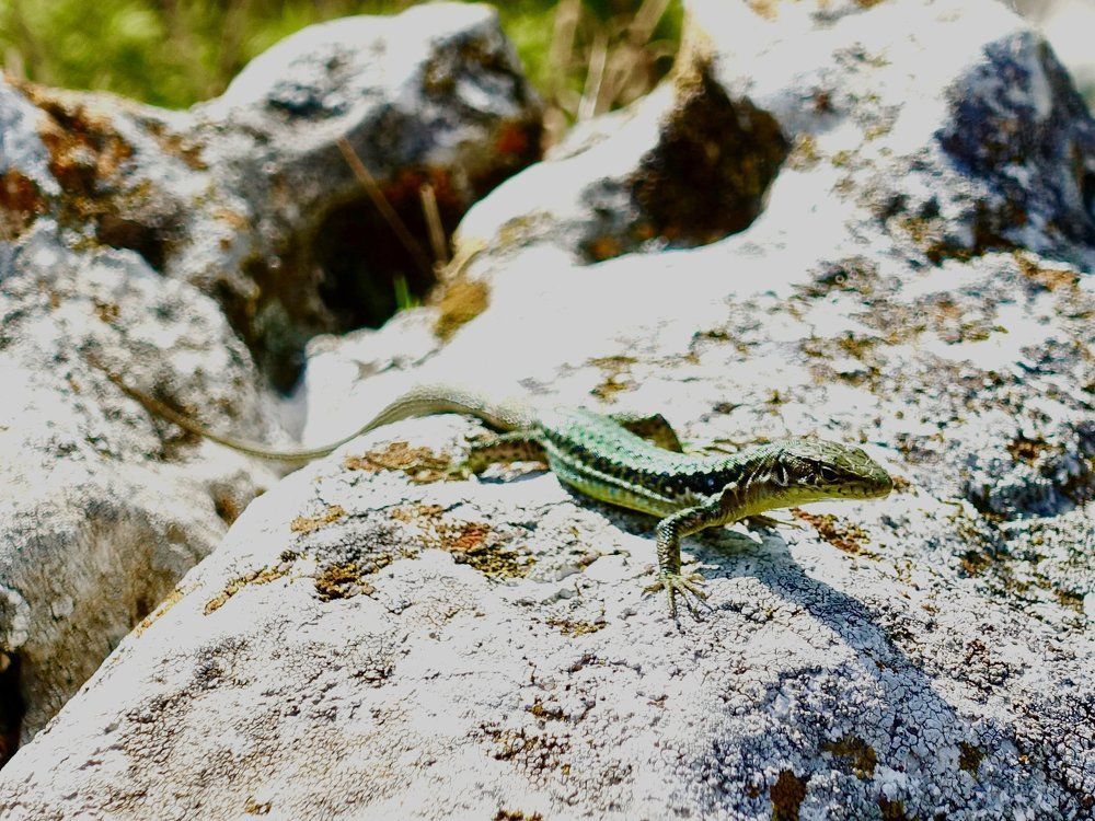 Photograph by Дмитрий Батагов