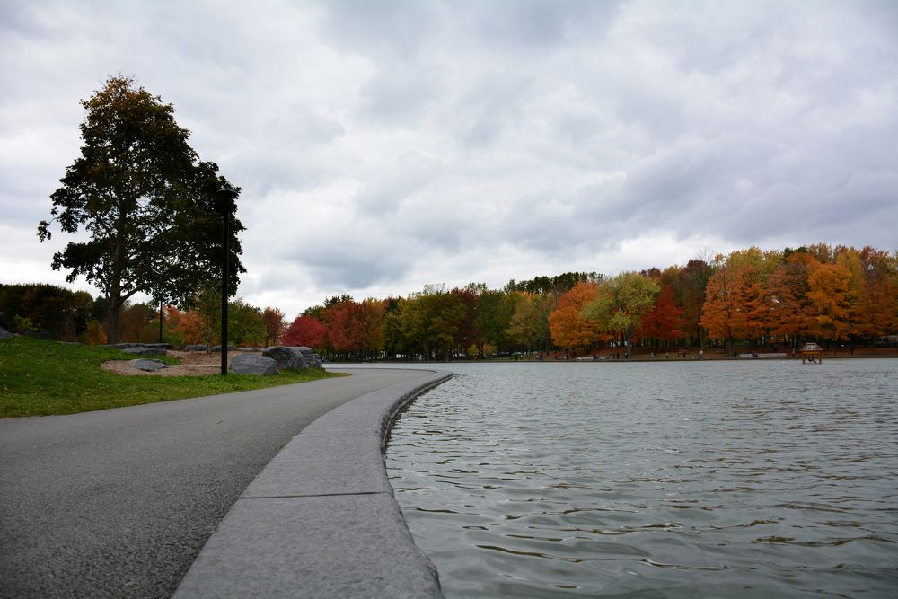 Фотография автора Дмитрий