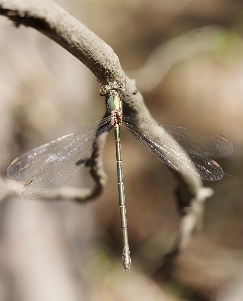 Photograph by Игорь Мальцев