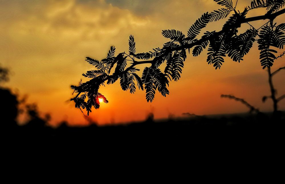 Hiding sun