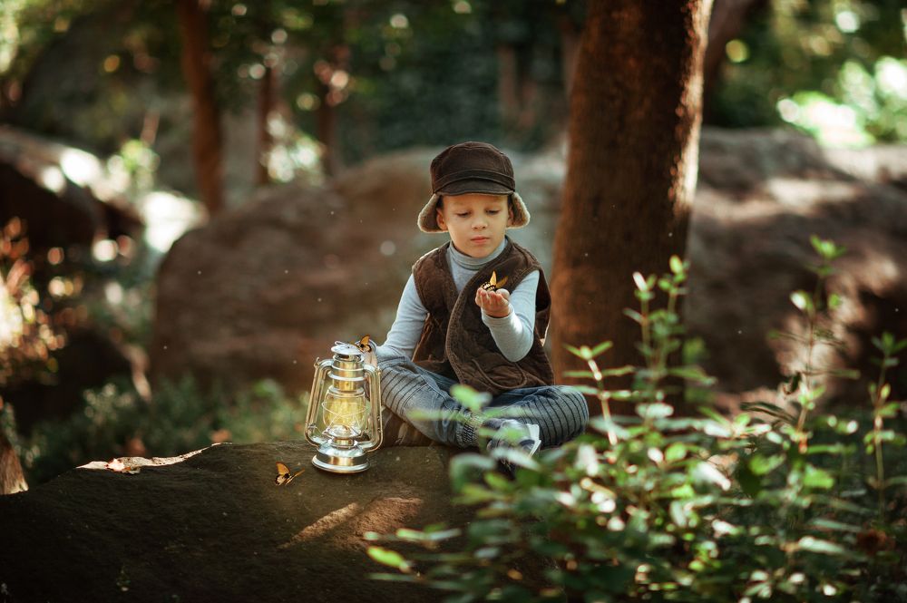 Волшебный лес