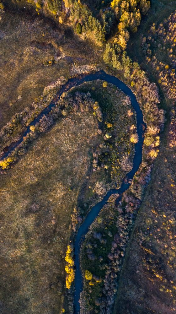 Осень на малой реке с точки зрения птицы