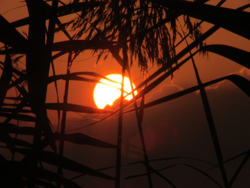 sun set
