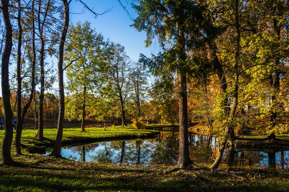 Гатчинский парк. Осень.