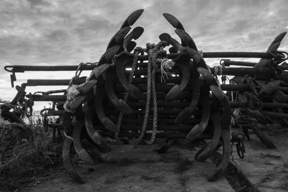 Заслуженный отдых