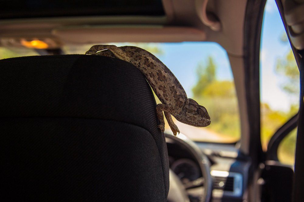 Photograph by Воробьёв Евгений