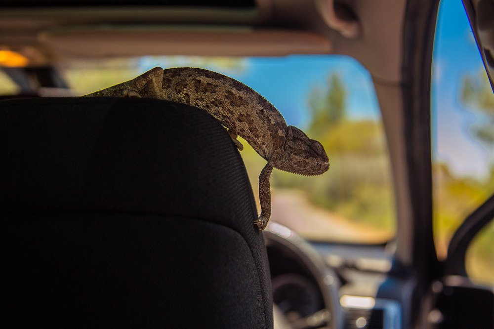 Photograph by Воробьёв Евгений