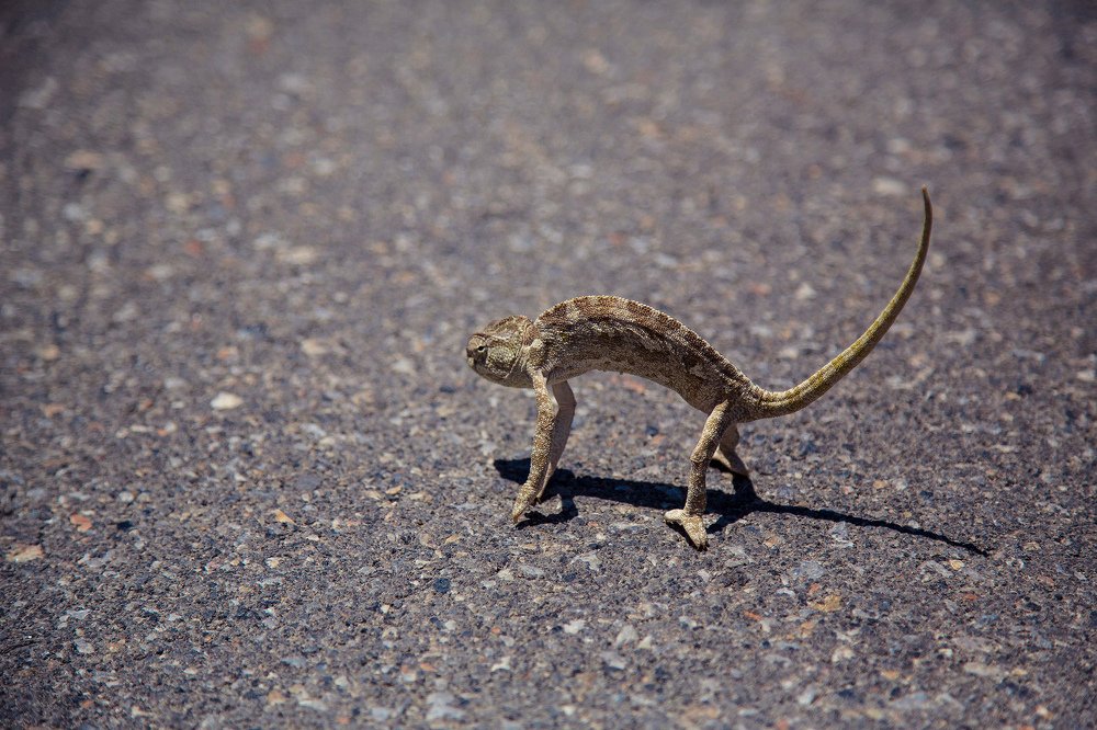 Photograph by Воробьёв Евгений