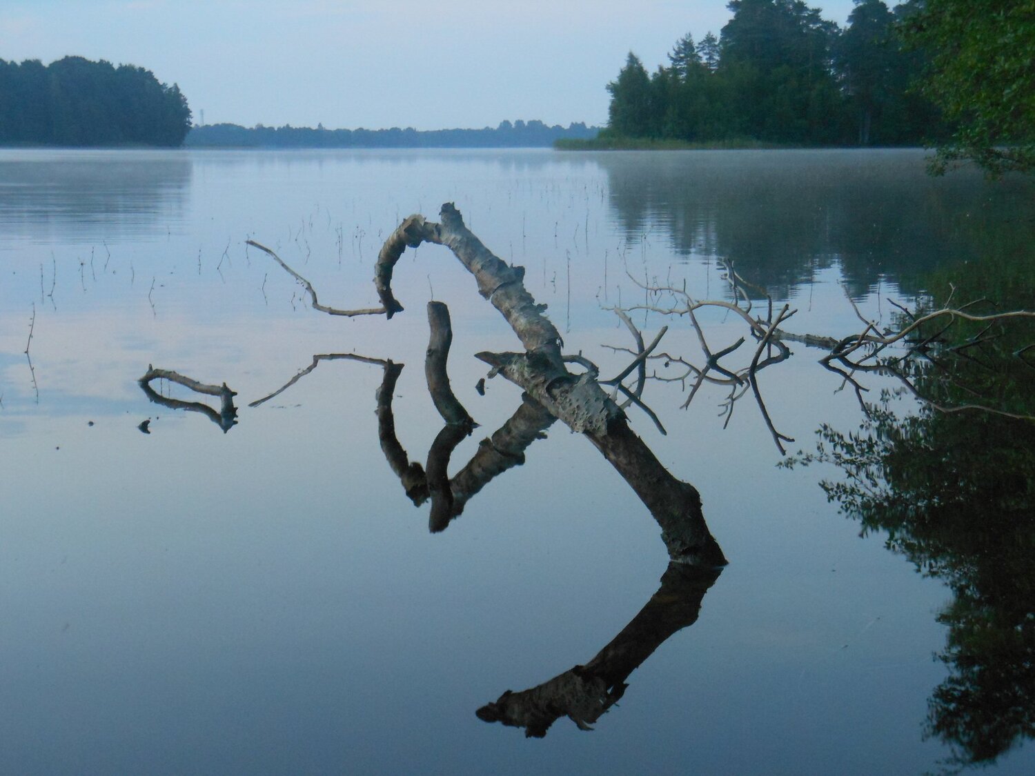 Water mirror
