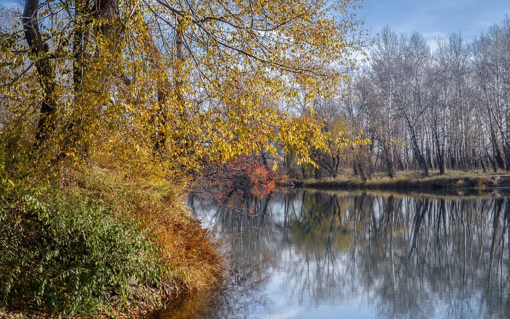 Осенняя пастель.