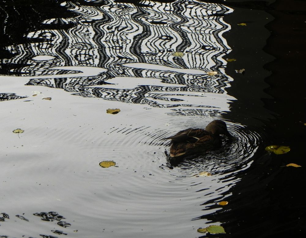 московская осень.кусково