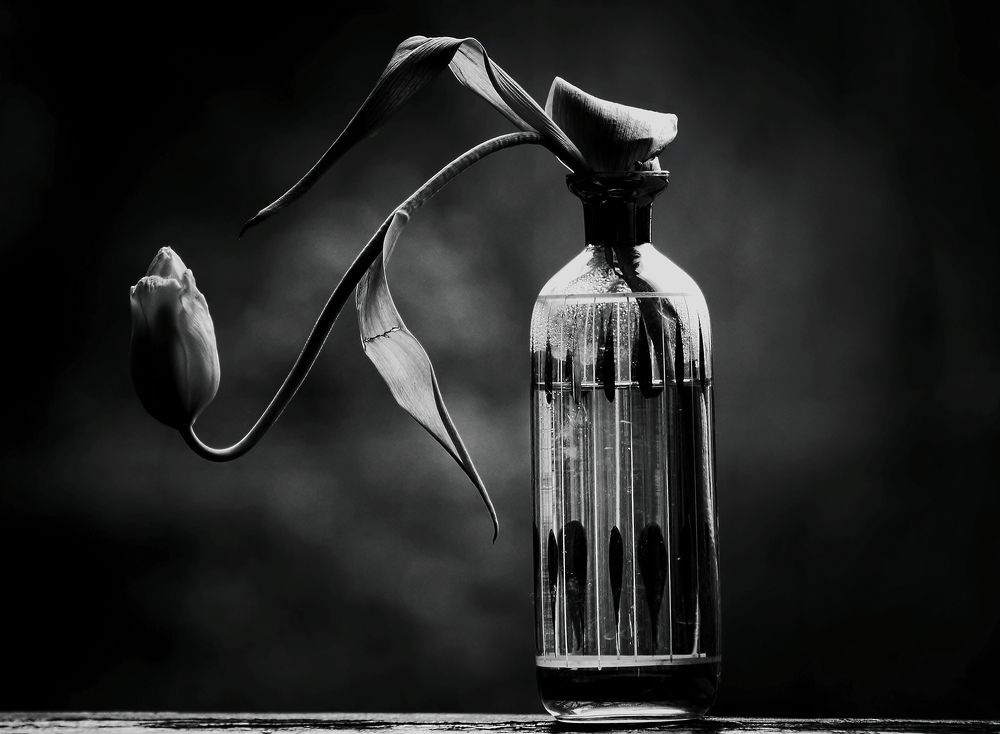 He does not have a backbone