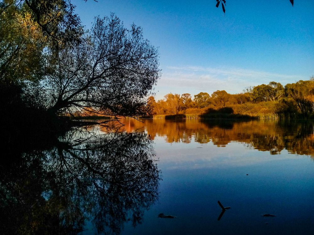 На закате солнца