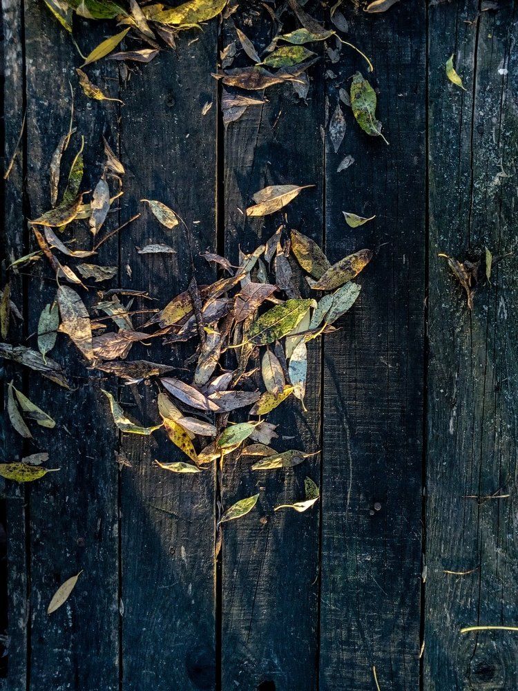 Photograph by Полина