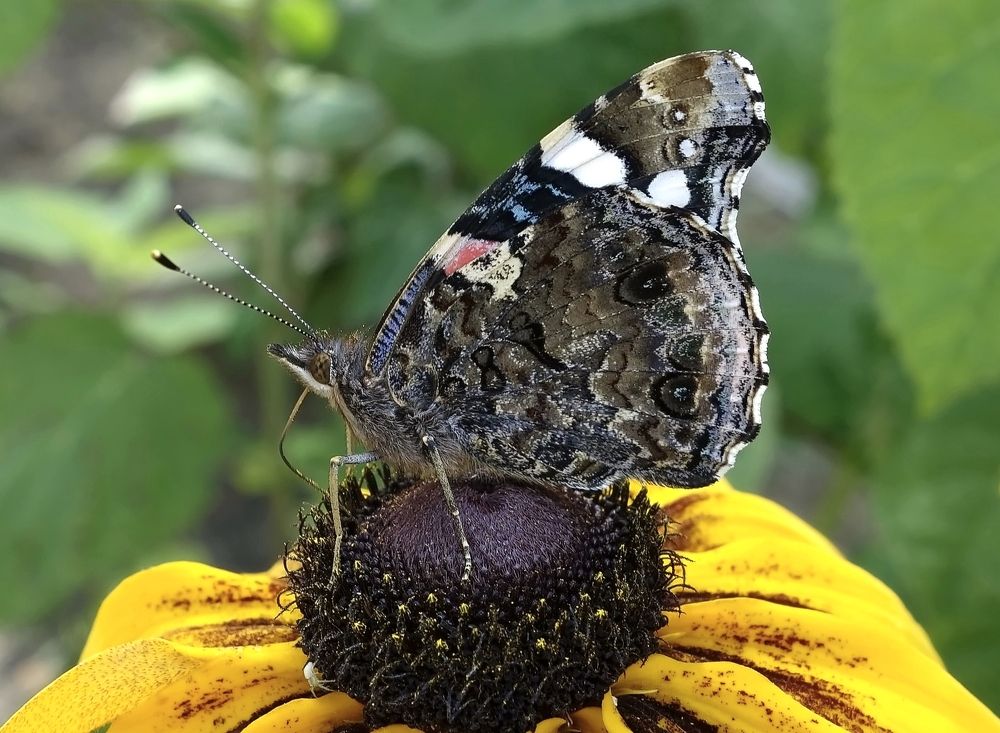 Фотография автора Валентина Гундарева
