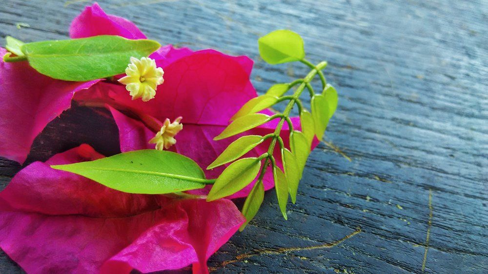 My college canteen bench
