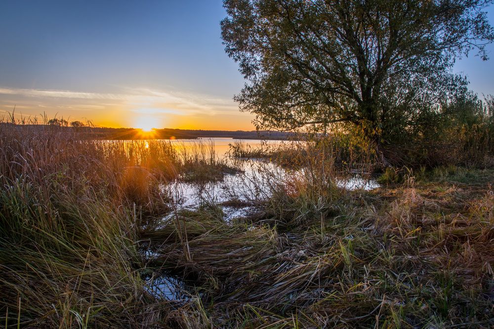 Рассвет на реке.