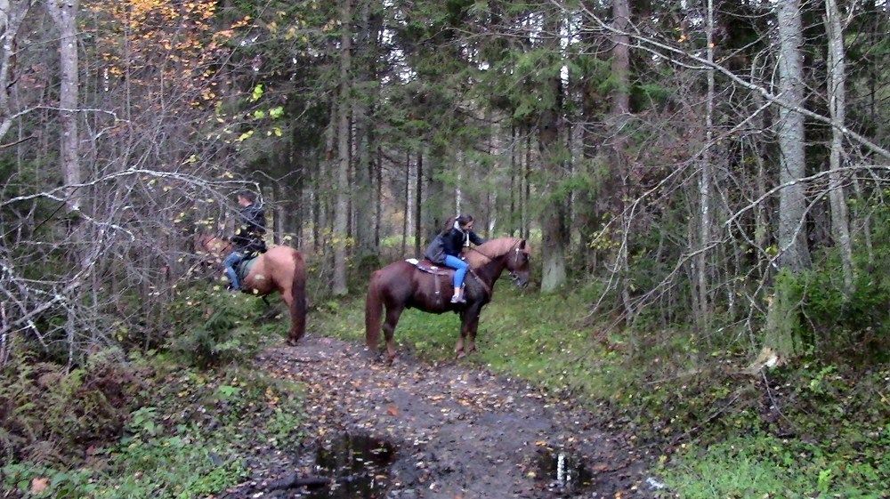 Конная прогулка.