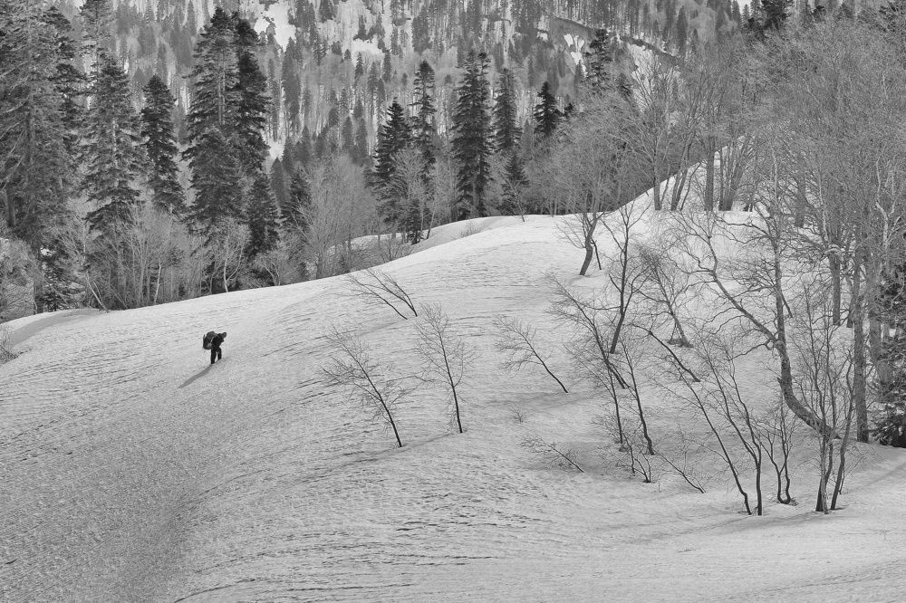 Photograph by Александр Пиленгас