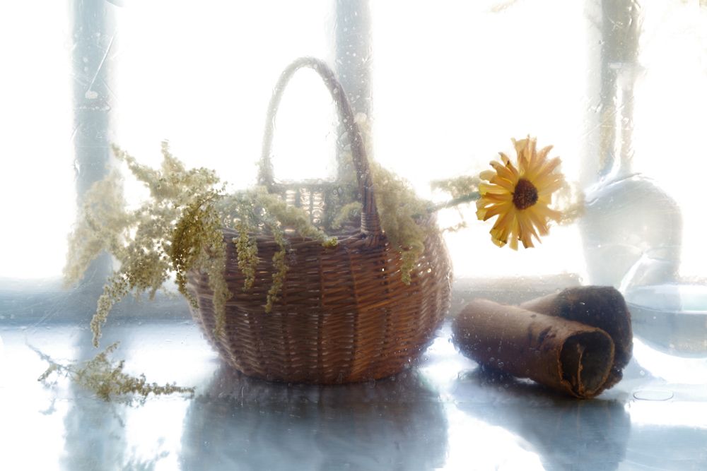 Цветок в лукошке