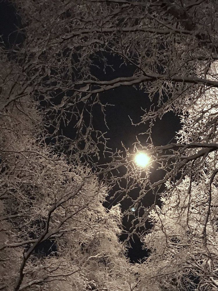 Зимнее небо