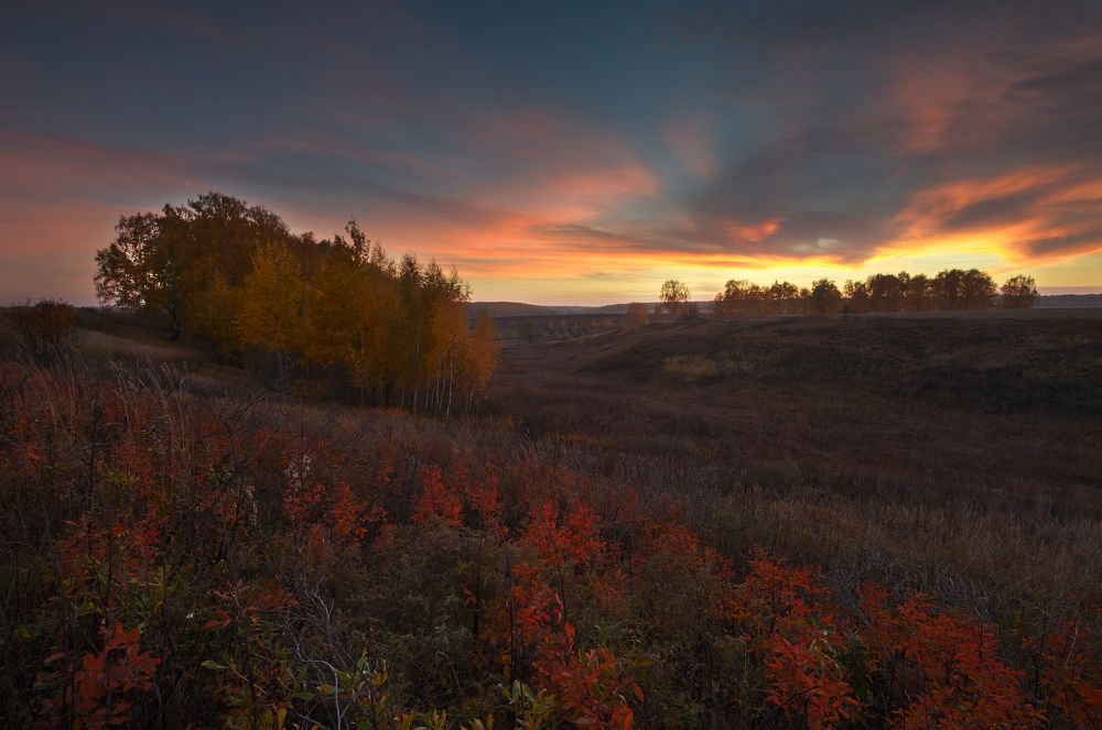 цвет настроения красный