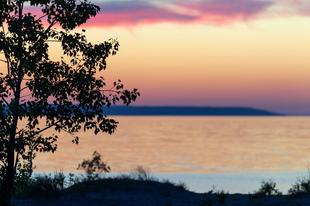 Розовый закат