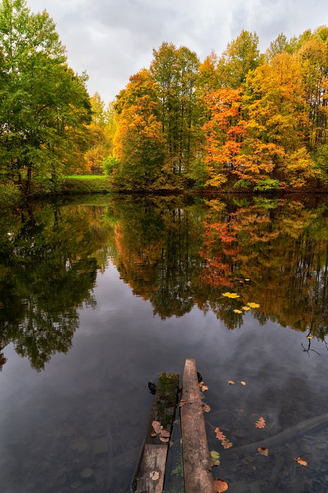 Осенний блюз