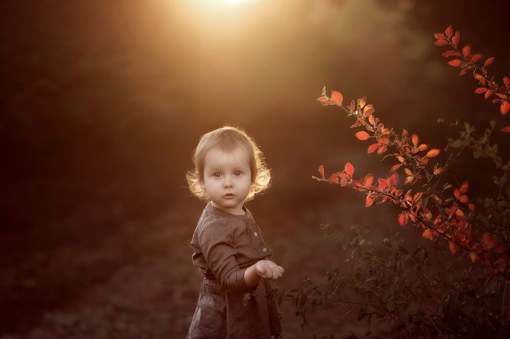 Фотография автора Ирина Забураева