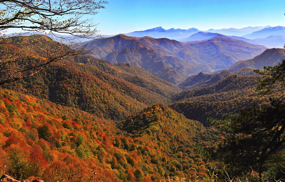 Под осенним покрывалом