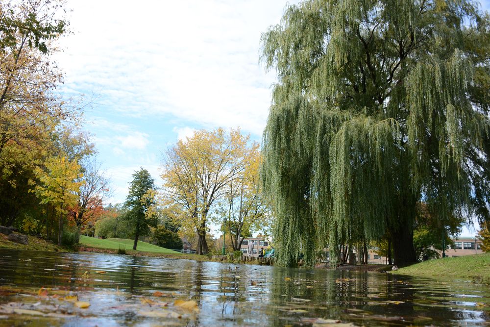 Фотография автора Дмитрий