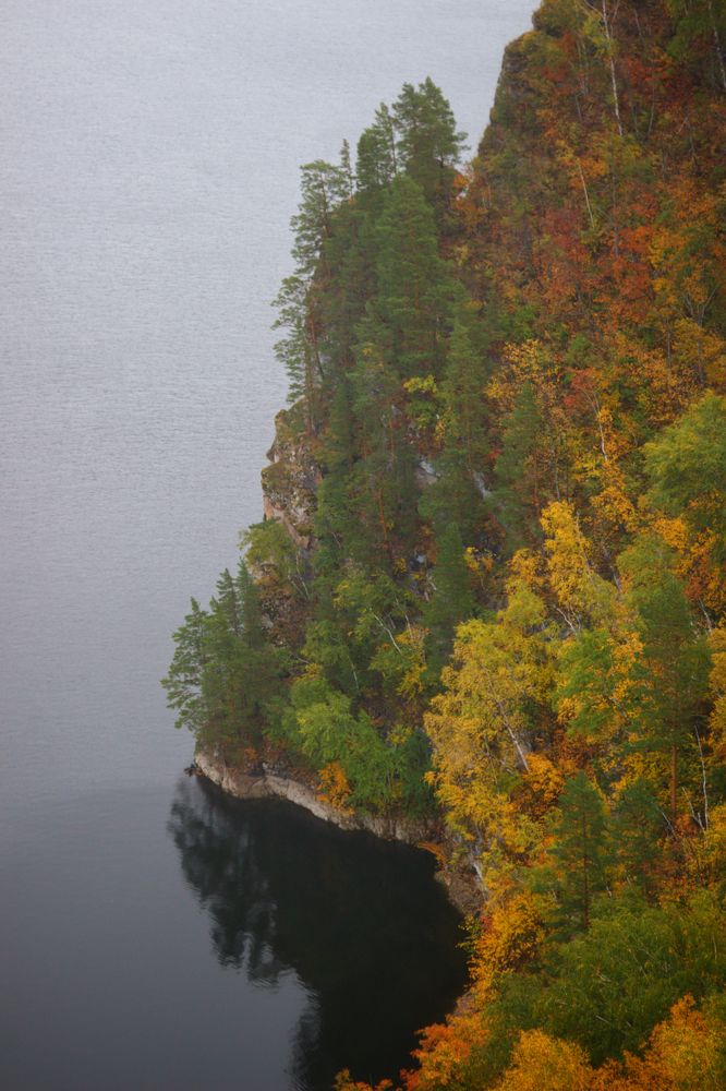 Туманная осень