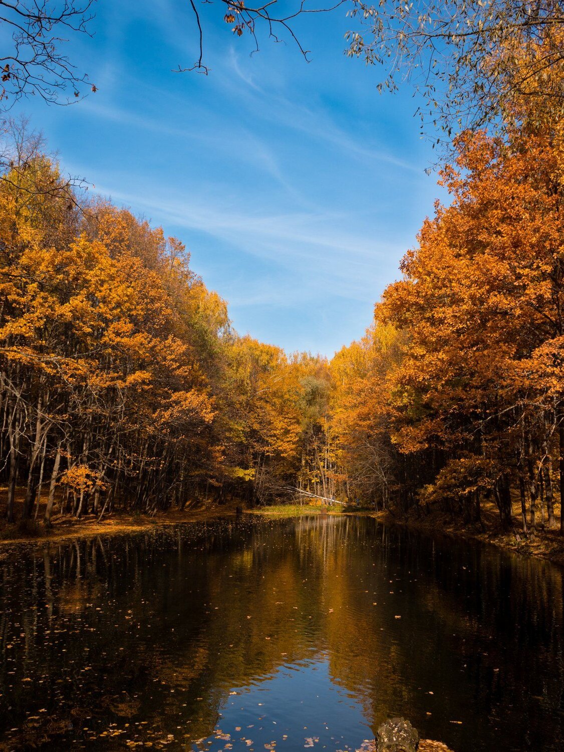 Осенние краски