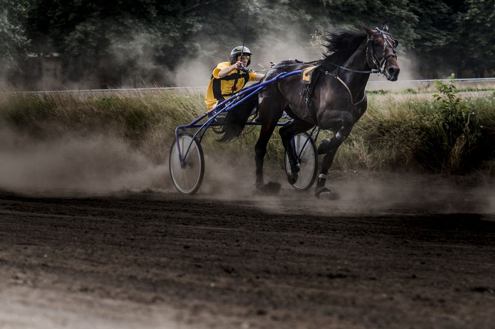 Несущие ветер