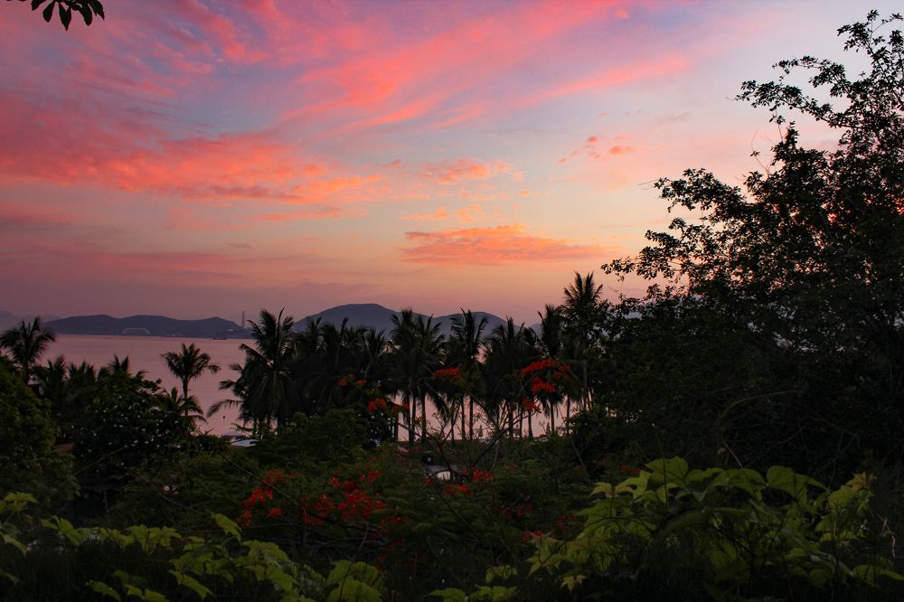 Фотография автора Đỗ Phan Long