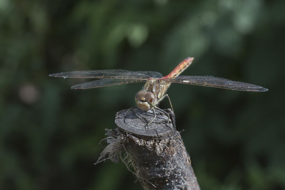 посадка завершена успешно