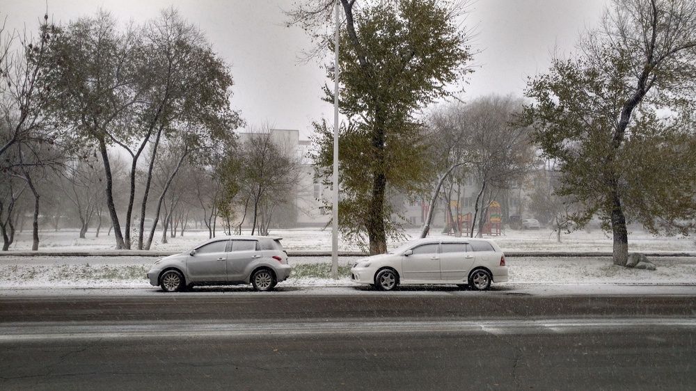 Первый снег