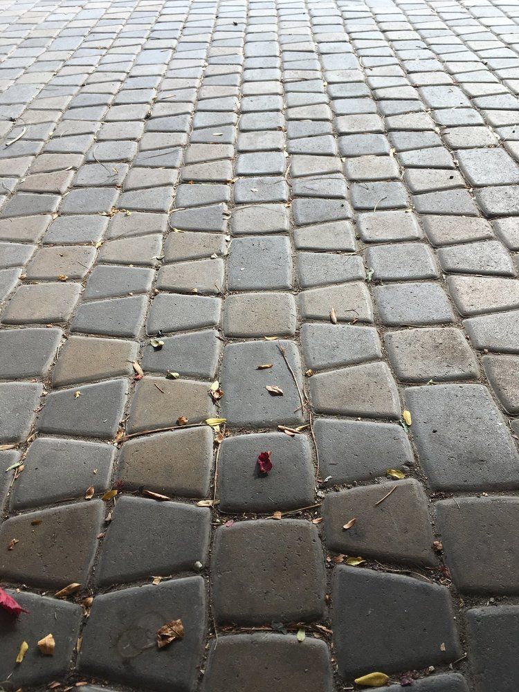 Photograph by Виктория Абрамчук